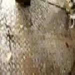 Open Gear Lubrication - Sugar Mill